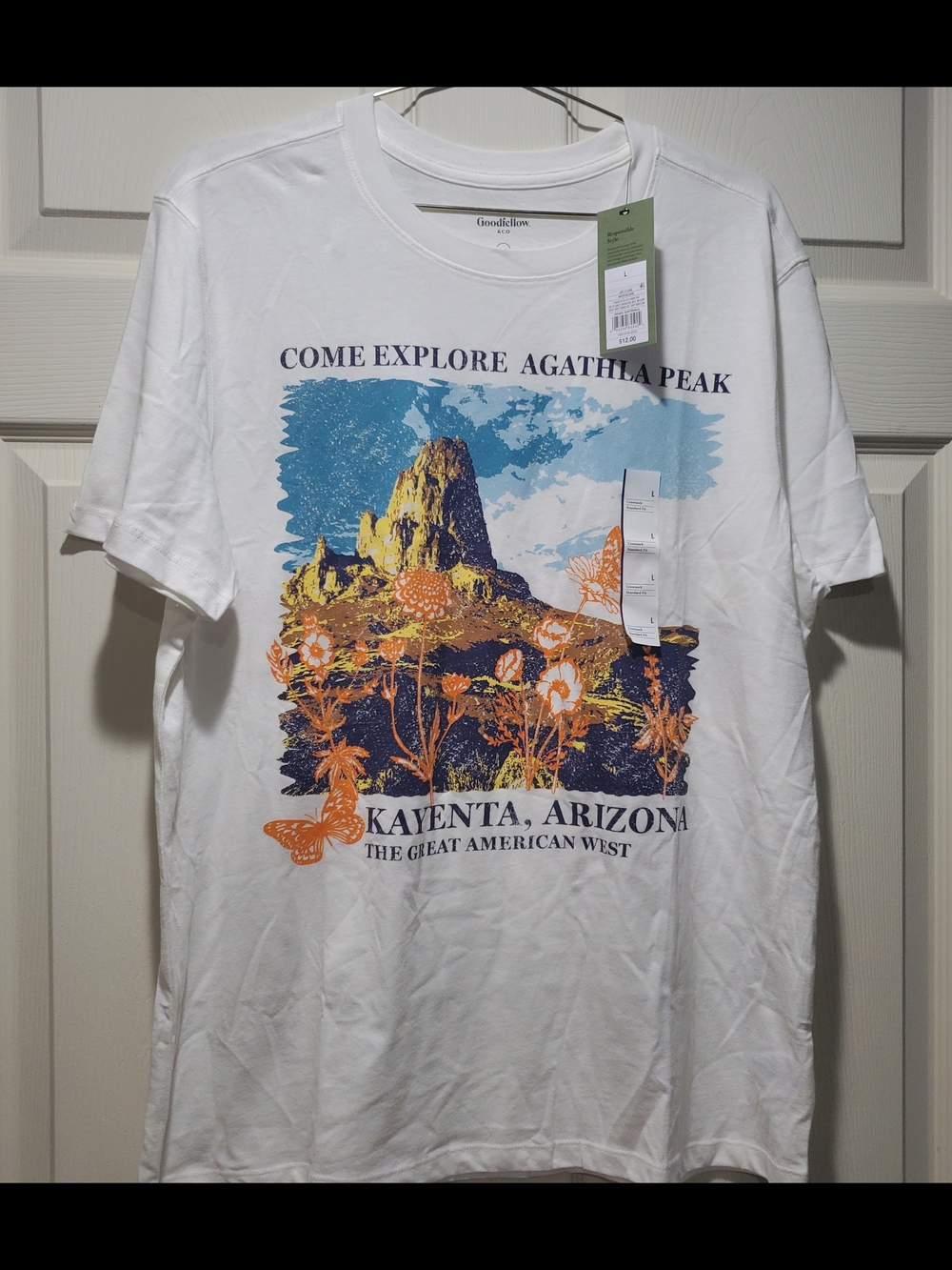 Goodfellow & Co White Tee with Blue and Orange Kayenta Graphic